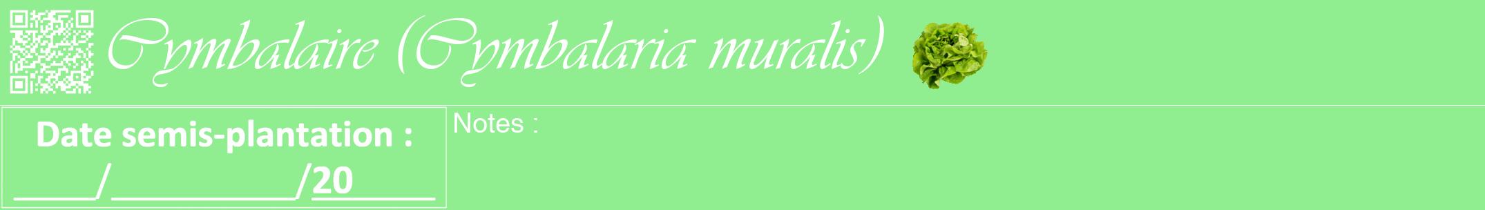 Étiquette de : Cymbalaria muralis - format a - style blanche15viv avec qrcode et comestibilité simplifiée