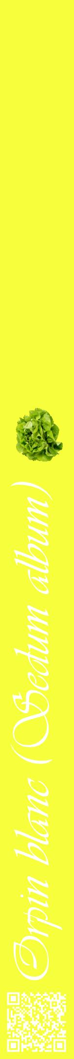 Étiquette de : Sedum album - format a - style blanche18viv avec qrcode et comestibilité simplifiée