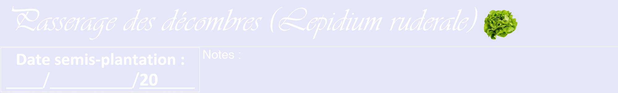 Étiquette de : Lepidium ruderale - format a - style blanche55viv avec comestibilité simplifiée
