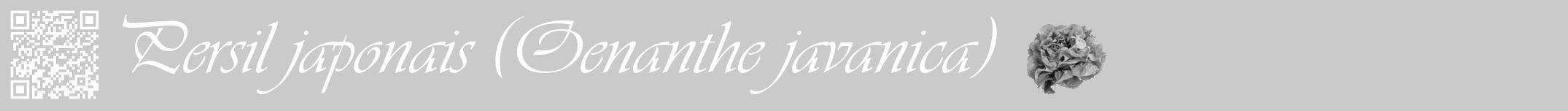 Étiquette de : Oenanthe javanica - format a - style blanche21viv avec qrcode et comestibilité simplifiée