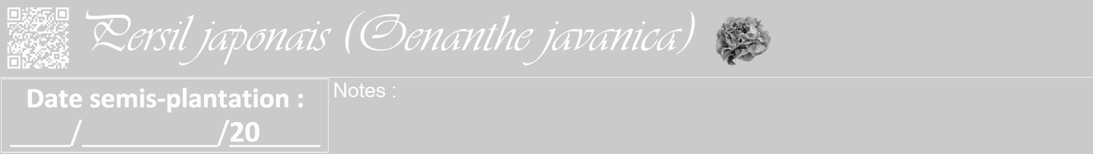 Étiquette de : Oenanthe javanica - format a - style blanche21viv avec qrcode et comestibilité simplifiée