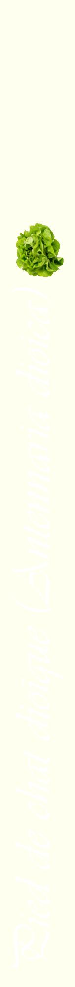 Étiquette de : Antennaria dioica - format a - style blanche19viv avec comestibilité simplifiée