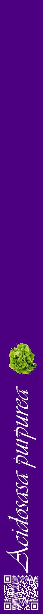 Étiquette de : Acidosasa purpurea - format a - style blanche47viv avec qrcode et comestibilité simplifiée