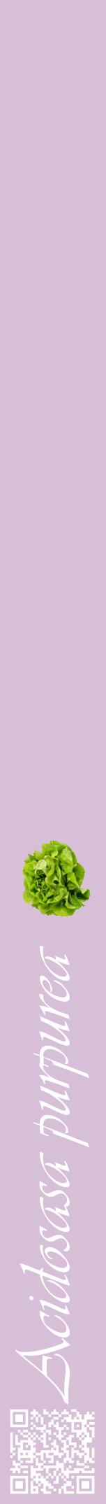 Étiquette de : Acidosasa purpurea - format a - style blanche54viv avec qrcode et comestibilité simplifiée