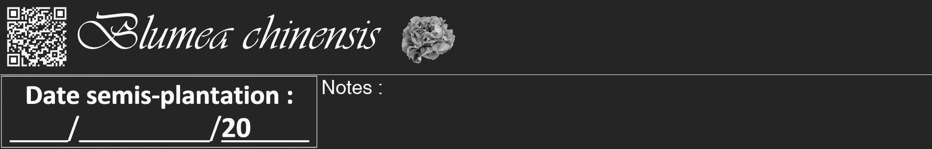 Étiquette de : Blumea chinensis - format a - style blanche47basiqueviv avec qrcode et comestibilité simplifiée