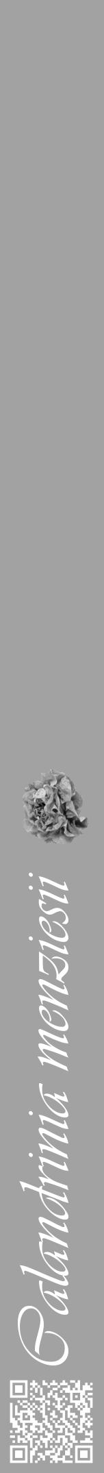 Étiquette de : Calandrinia menziesii - format a - style blanche38viv avec qrcode et comestibilité simplifiée - position verticale