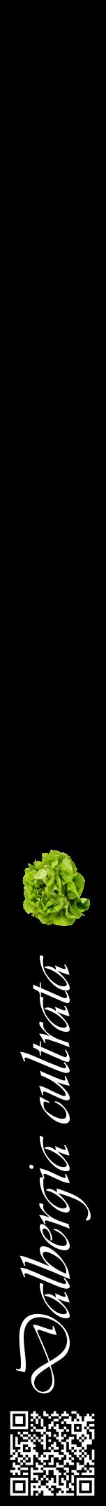 Étiquette de : Dalbergia cultrata - format a - style blanche59viv avec qrcode et comestibilité simplifiée
