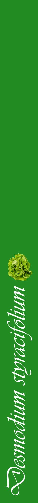 Étiquette de : Desmodium styracifolium - format a - style blanche10viv avec comestibilité simplifiée