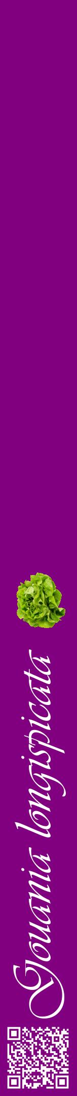 Étiquette de : Gouania longispicata - format a - style blanche46viv avec qrcode et comestibilité simplifiée