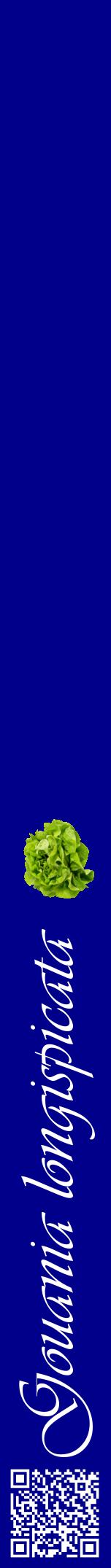 Étiquette de : Gouania longispicata - format a - style blanche7viv avec qrcode et comestibilité simplifiée