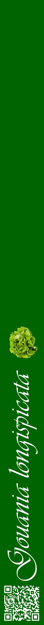 Étiquette de : Gouania longispicata - format a - style blanche8viv avec qrcode et comestibilité simplifiée