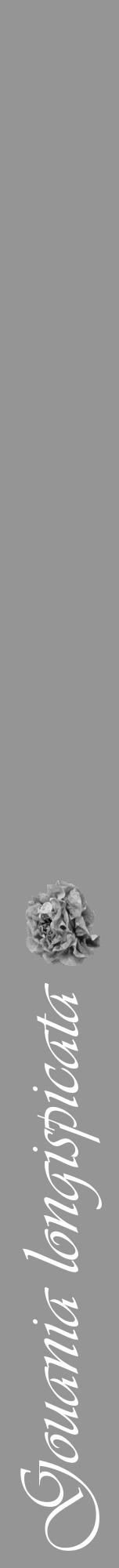 Étiquette de : Gouania longispicata - format a - style blanche16viv avec comestibilité simplifiée - position verticale