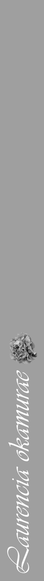 Étiquette de : Laurencia okamurae - format a - style blanche24viv avec comestibilité simplifiée - position verticale