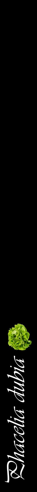 Étiquette de : Phacelia dubia - format a - style blanche59viv avec comestibilité simplifiée