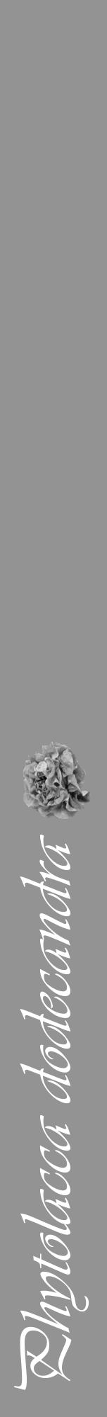 Étiquette de : Phytolacca dodecandra - format a - style blanche44viv avec comestibilité simplifiée - position verticale