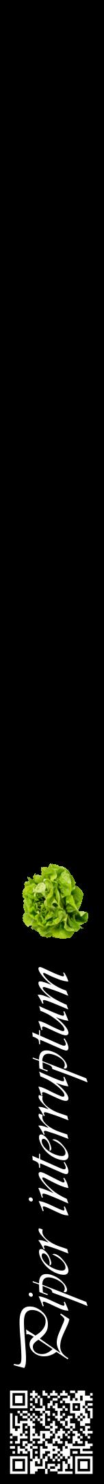 Étiquette de : Piper interruptum - format a - style blanche59viv avec qrcode et comestibilité simplifiée