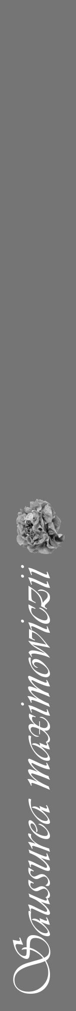 Étiquette de : Saussurea maximowiczii - format a - style blanche5viv avec comestibilité simplifiée - position verticale