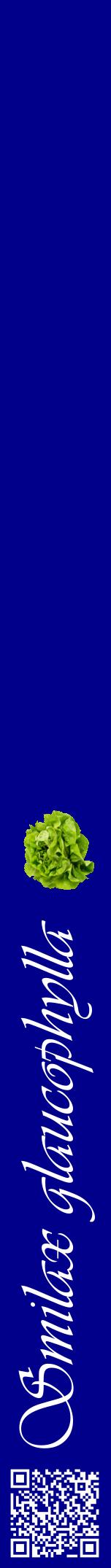 Étiquette de : Smilax glaucophylla - format a - style blanche7viv avec qrcode et comestibilité simplifiée