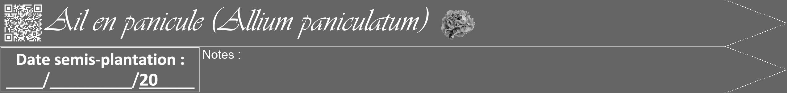 Étiquette de : Allium paniculatum - format b - style blanche32viv avec qrcode et comestibilité simplifiée