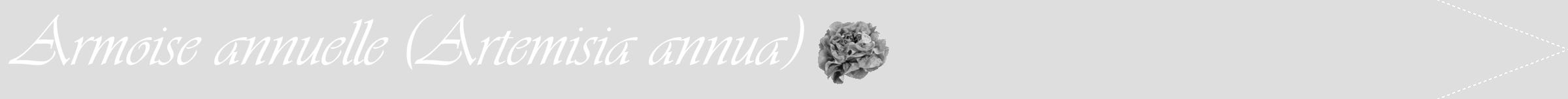 Étiquette de : Artemisia annua - format b - style blanche20viv avec comestibilité simplifiée