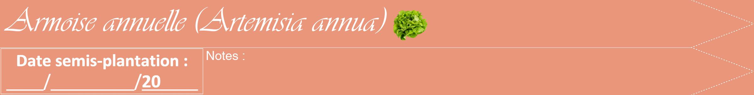 Étiquette de : Artemisia annua - format b - style blanche37viv avec comestibilité simplifiée