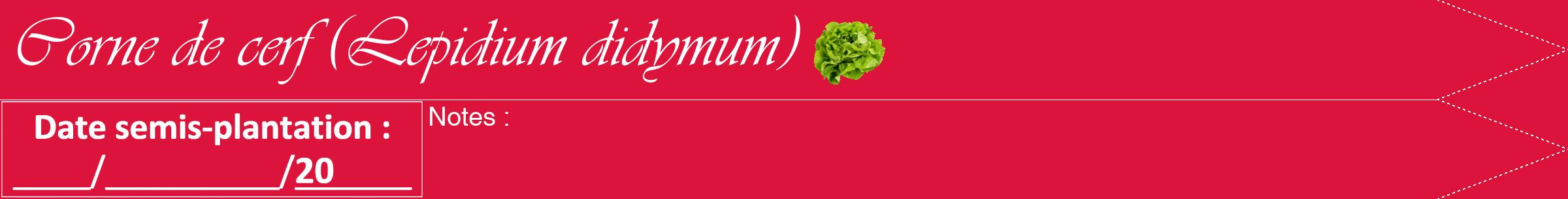 Étiquette de : Lepidium didymum - format b - style blanche36viv avec comestibilité simplifiée