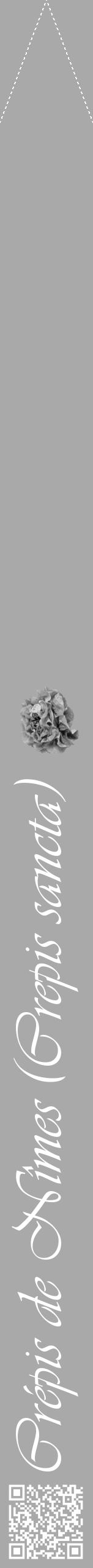 Étiquette de : Crepis sancta - format b - style blanche13viv avec qrcode et comestibilité simplifiée - position verticale