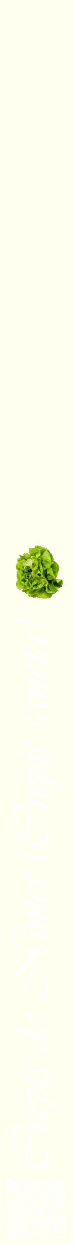 Étiquette de : Crepis sancta - format b - style blanche19viv avec qrcode et comestibilité simplifiée