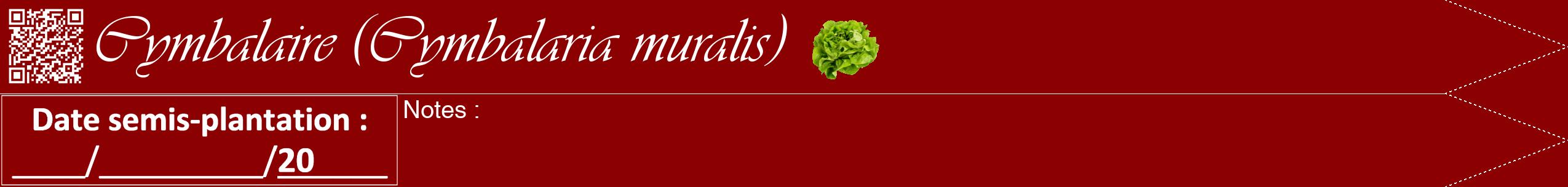 Étiquette de : Cymbalaria muralis - format b - style blanche34viv avec qrcode et comestibilité simplifiée