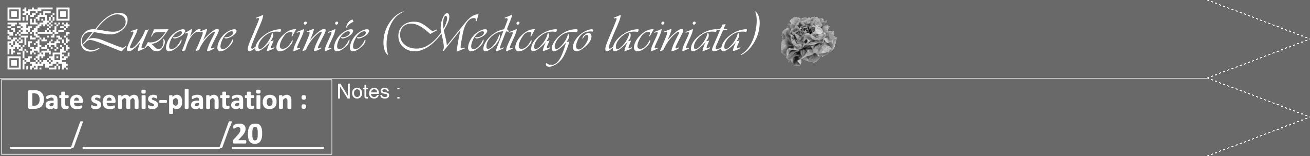 Étiquette de : Medicago laciniata - format b - style blanche11viv avec qrcode et comestibilité simplifiée
