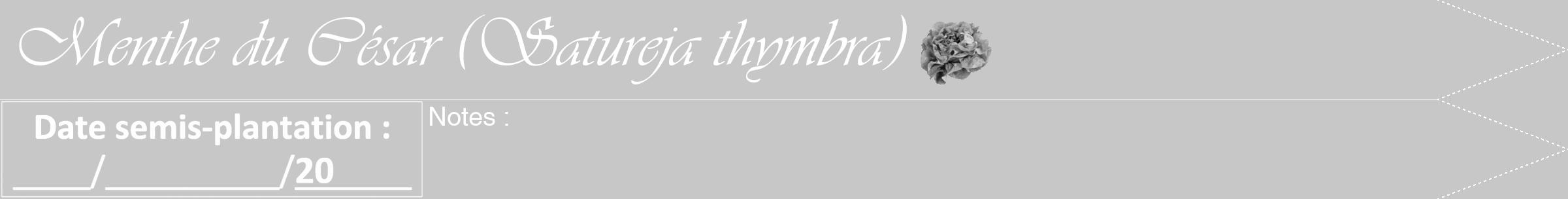 Étiquette de : Satureja thymbra - format b - style blanche15simpleviv avec comestibilité simplifiée