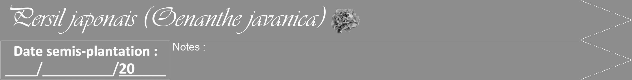 Étiquette de : Oenanthe javanica - format b - style blanche2viv avec comestibilité simplifiée