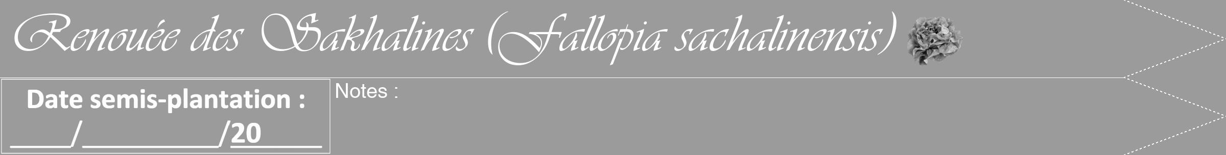 Étiquette de : Fallopia sachalinensis - format b - style blanche52viv avec comestibilité simplifiée