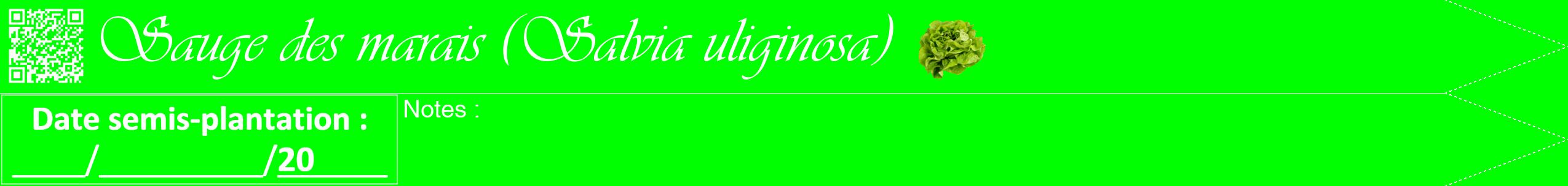 Étiquette de : Salvia uliginosa - format b - style blanche16viv avec qrcode et comestibilité simplifiée