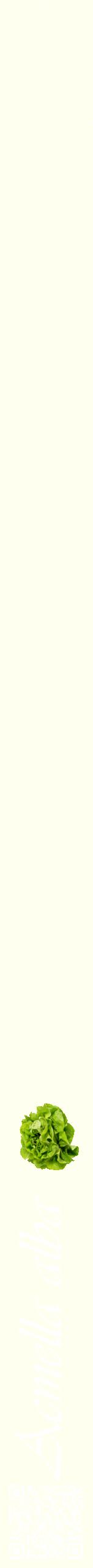 Étiquette de : Acmella alba - format b - style blanche19viv avec qrcode et comestibilité simplifiée