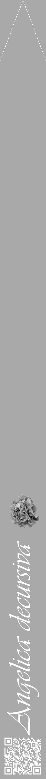 Étiquette de : Angelica decursiva - format b - style blanche13viv avec qrcode et comestibilité simplifiée - position verticale