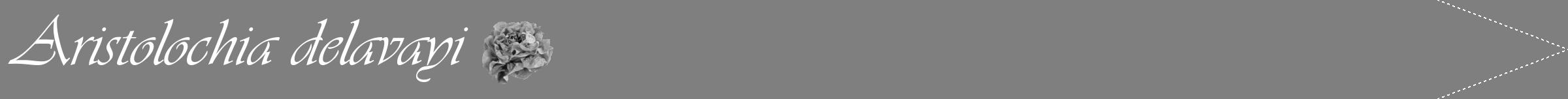 Étiquette de : Aristolochia delavayi - format b - style blanche31viv avec comestibilité simplifiée