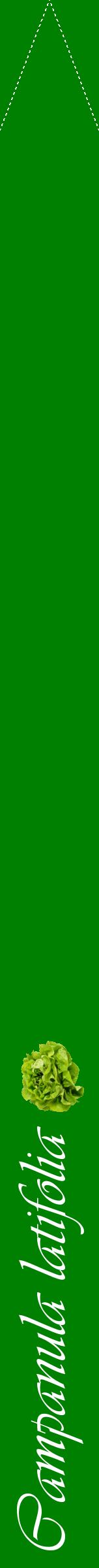 Étiquette de : Campanula latifolia - format b - style blanche9viv avec comestibilité simplifiée