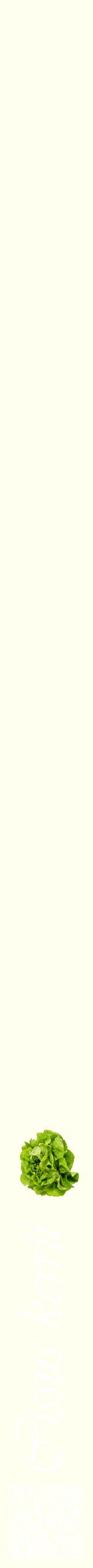 Étiquette de : Cissus kerrii - format b - style blanche19viv avec qrcode et comestibilité simplifiée