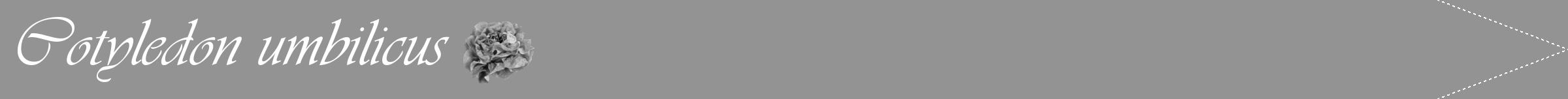 Étiquette de : Cotyledon umbilicus - format b - style blanche44viv avec comestibilité simplifiée