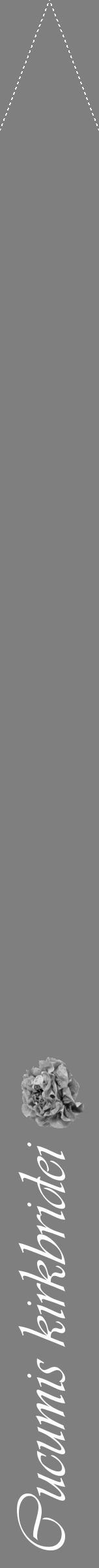 Étiquette de : Cucumis kirkbridei - format b - style blanche31viv avec comestibilité simplifiée - position verticale