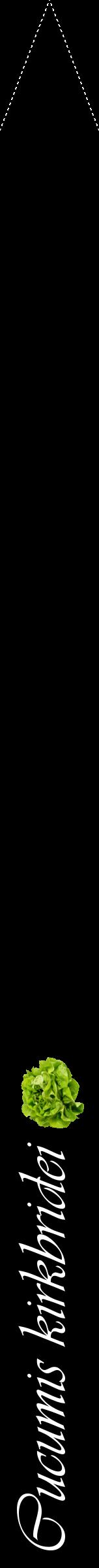Étiquette de : Cucumis kirkbridei - format b - style blanche59viv avec comestibilité simplifiée