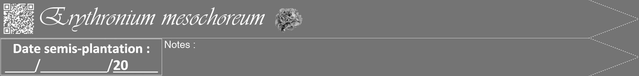 Étiquette de : Erythronium mesochoreum - format b - style blanche26viv avec qrcode et comestibilité simplifiée