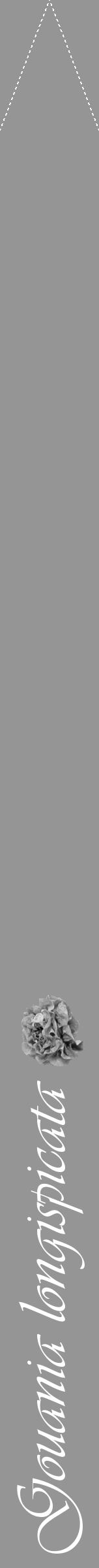 Étiquette de : Gouania longispicata - format b - style blanche16viv avec comestibilité simplifiée - position verticale