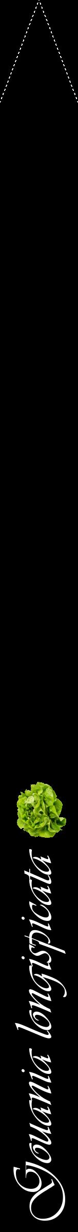 Étiquette de : Gouania longispicata - format b - style blanche59viv avec comestibilité simplifiée