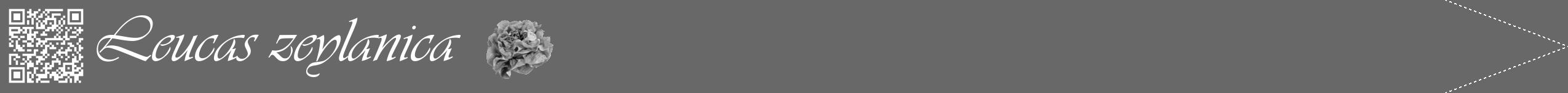 Étiquette de : Leucas zeylanica - format b - style blanche43viv avec qrcode et comestibilité simplifiée