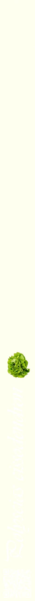 Étiquette de : Polyscias cissodendron - format b - style blanche19viv avec qrcode et comestibilité simplifiée