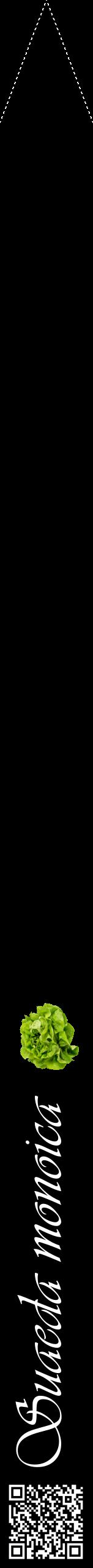 Étiquette de : Suaeda monoica - format b - style blanche59viv avec qrcode et comestibilité simplifiée