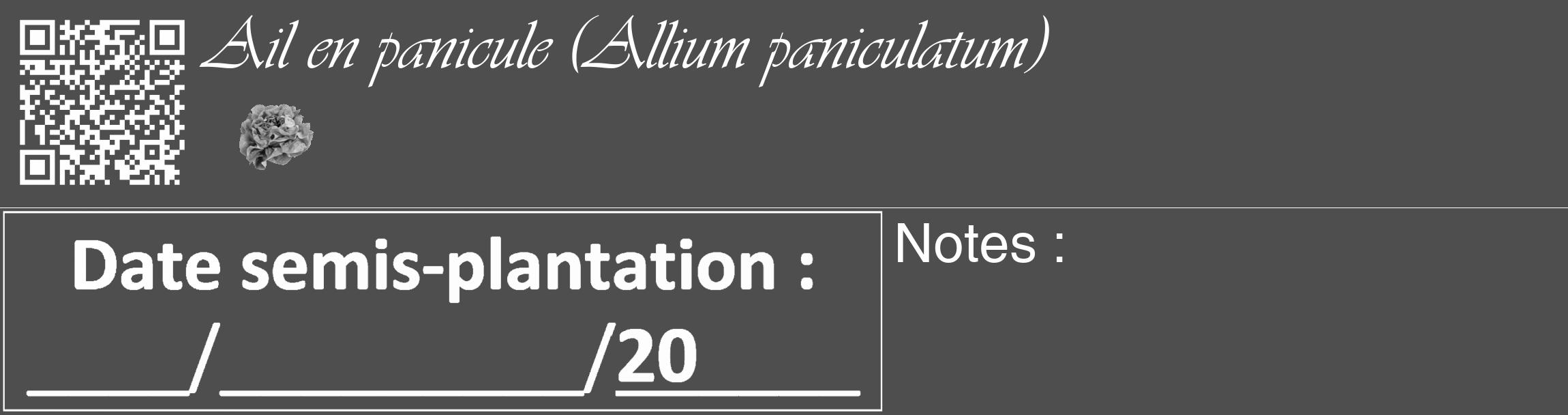 Étiquette de : Allium paniculatum - format c - style blanche33_basique_basiqueviv avec qrcode et comestibilité simplifiée