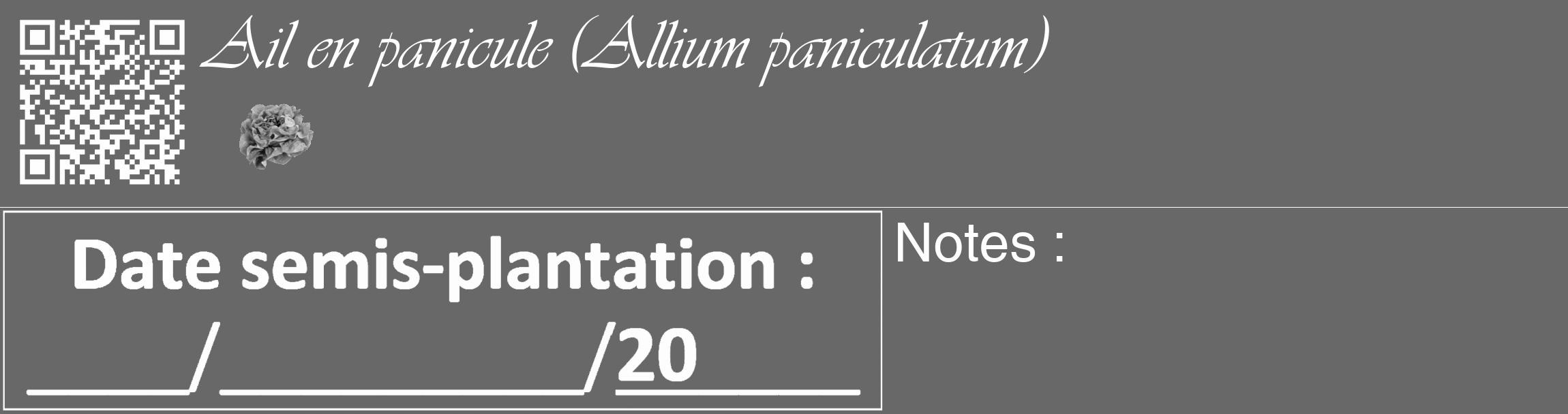 Étiquette de : Allium paniculatum - format c - style blanche43_basique_basiqueviv avec qrcode et comestibilité simplifiée